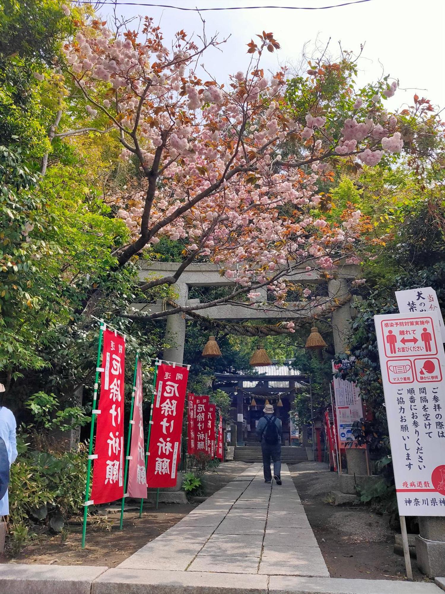Appartamento Jiro De Kamakura Esterno foto